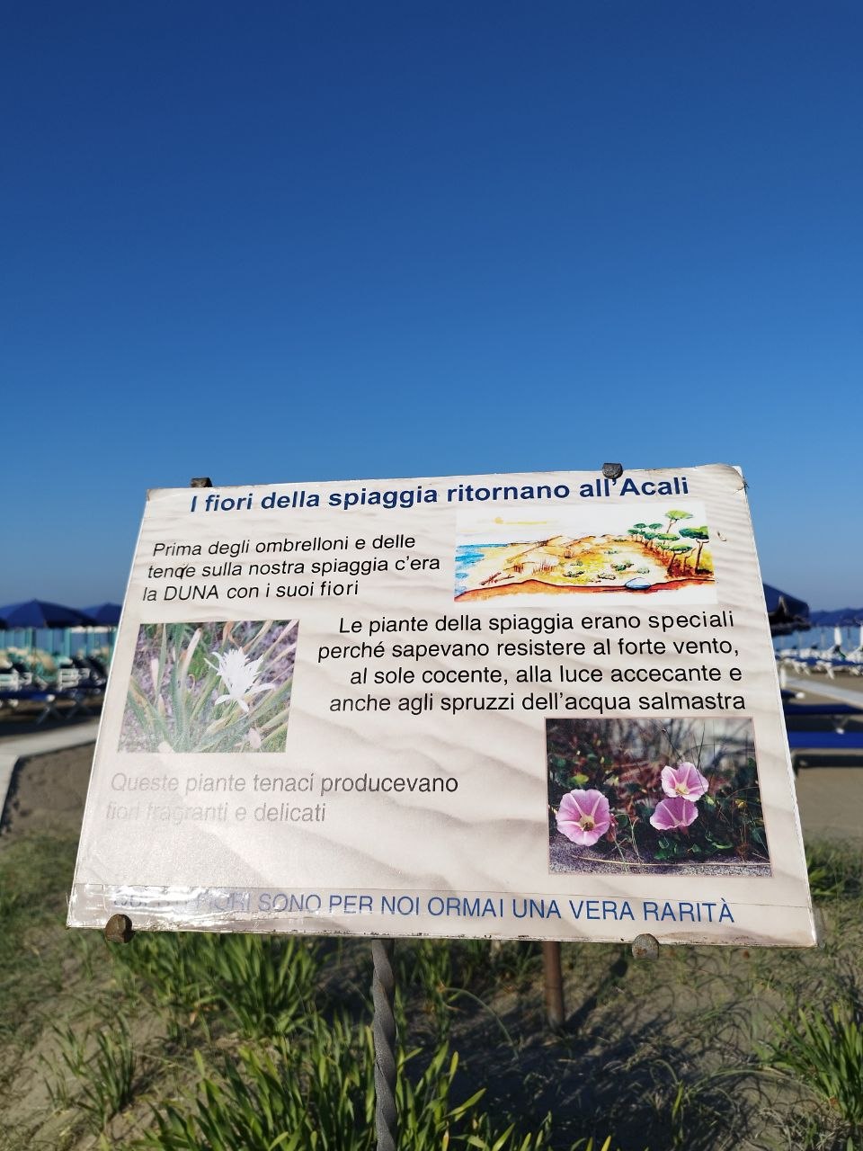 La duna protetta del Bagno Acali