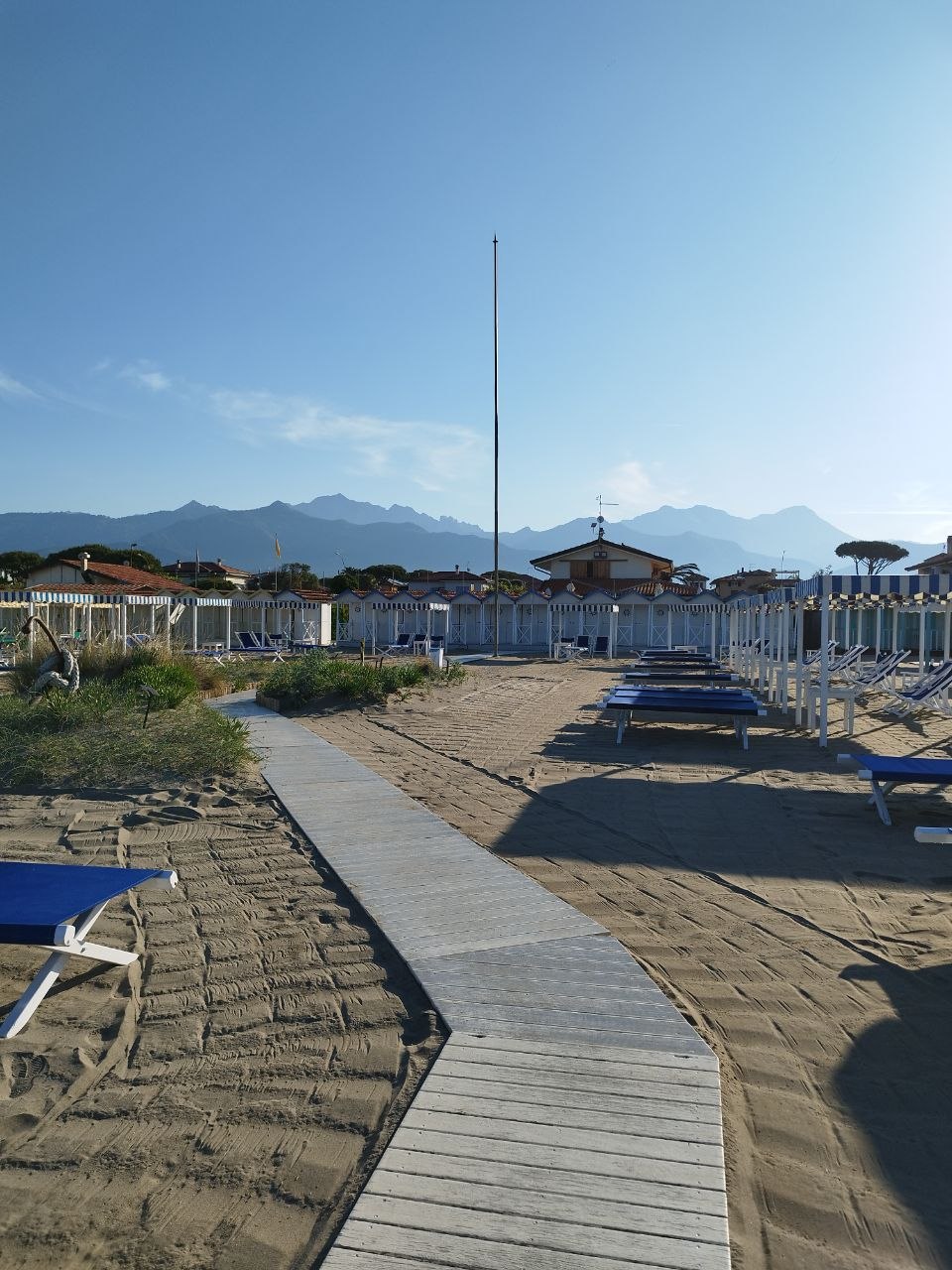 Macchia mediterranea