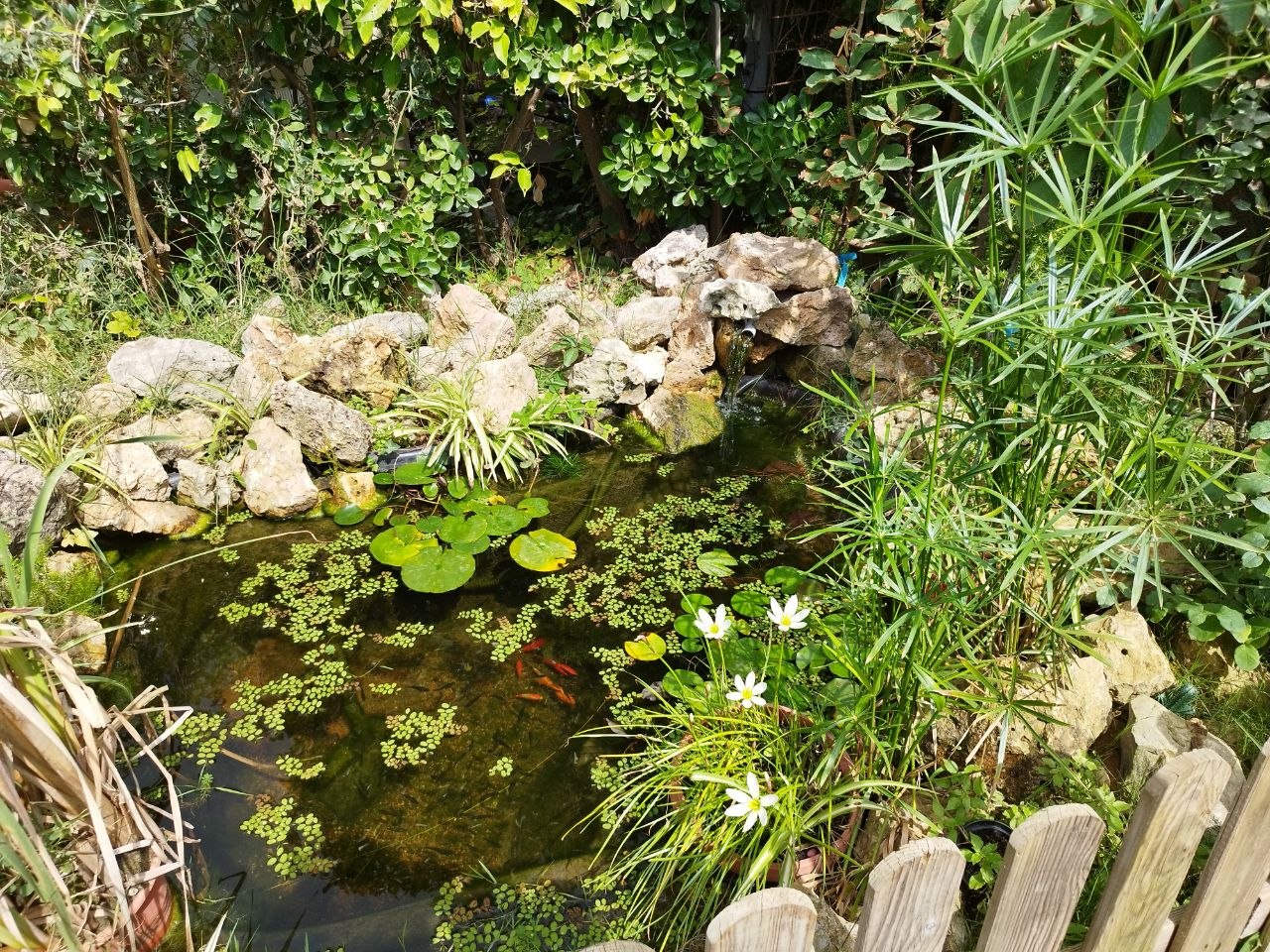 Bagno Acali