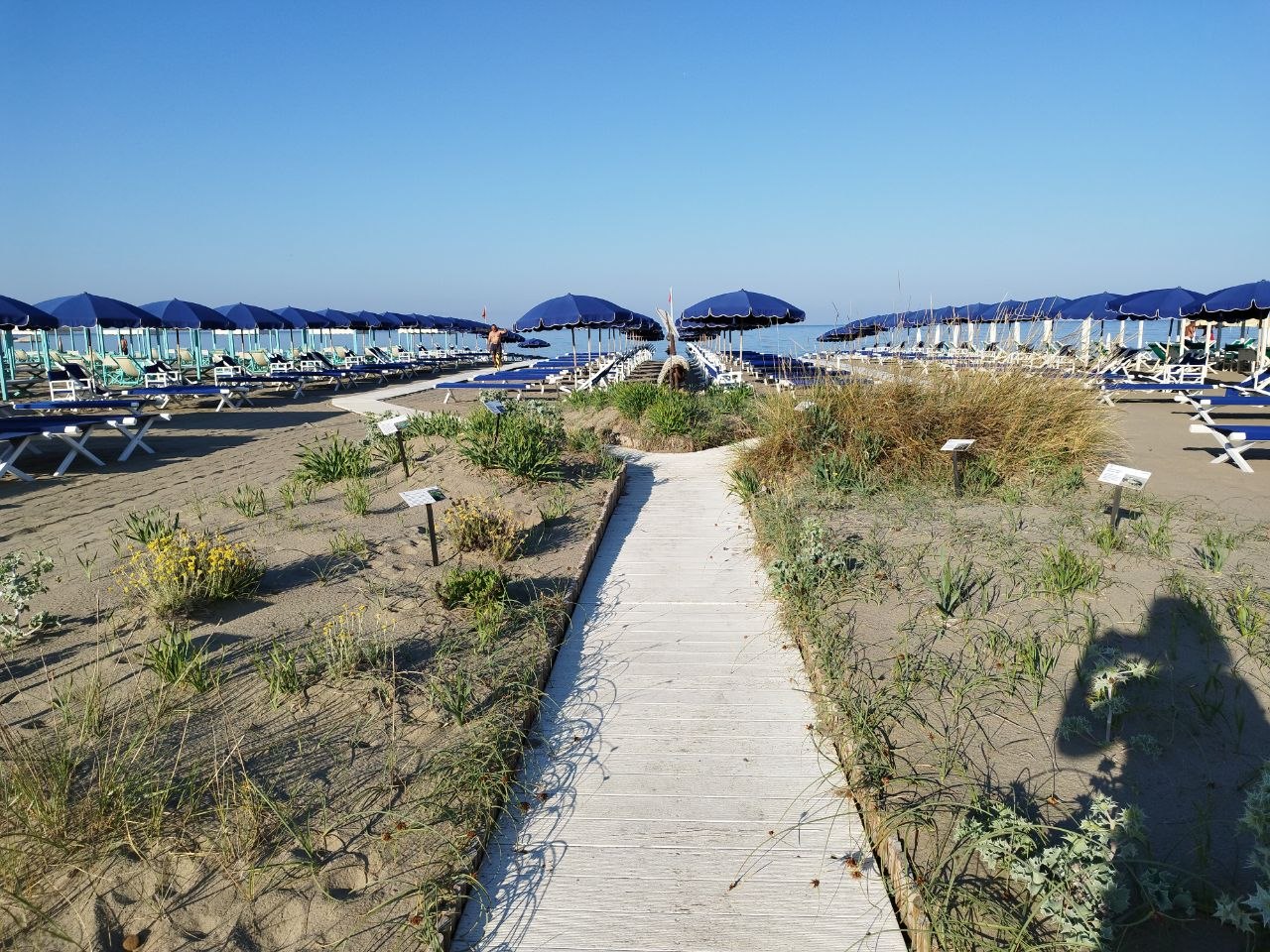 Bagno Acali